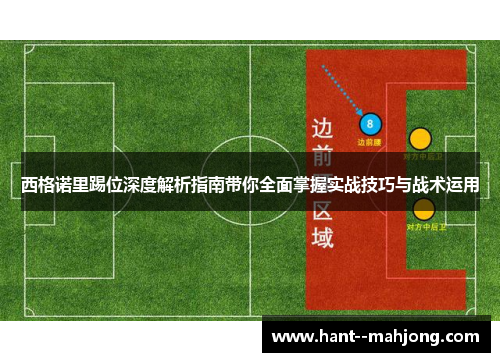西格诺里踢位深度解析指南带你全面掌握实战技巧与战术运用